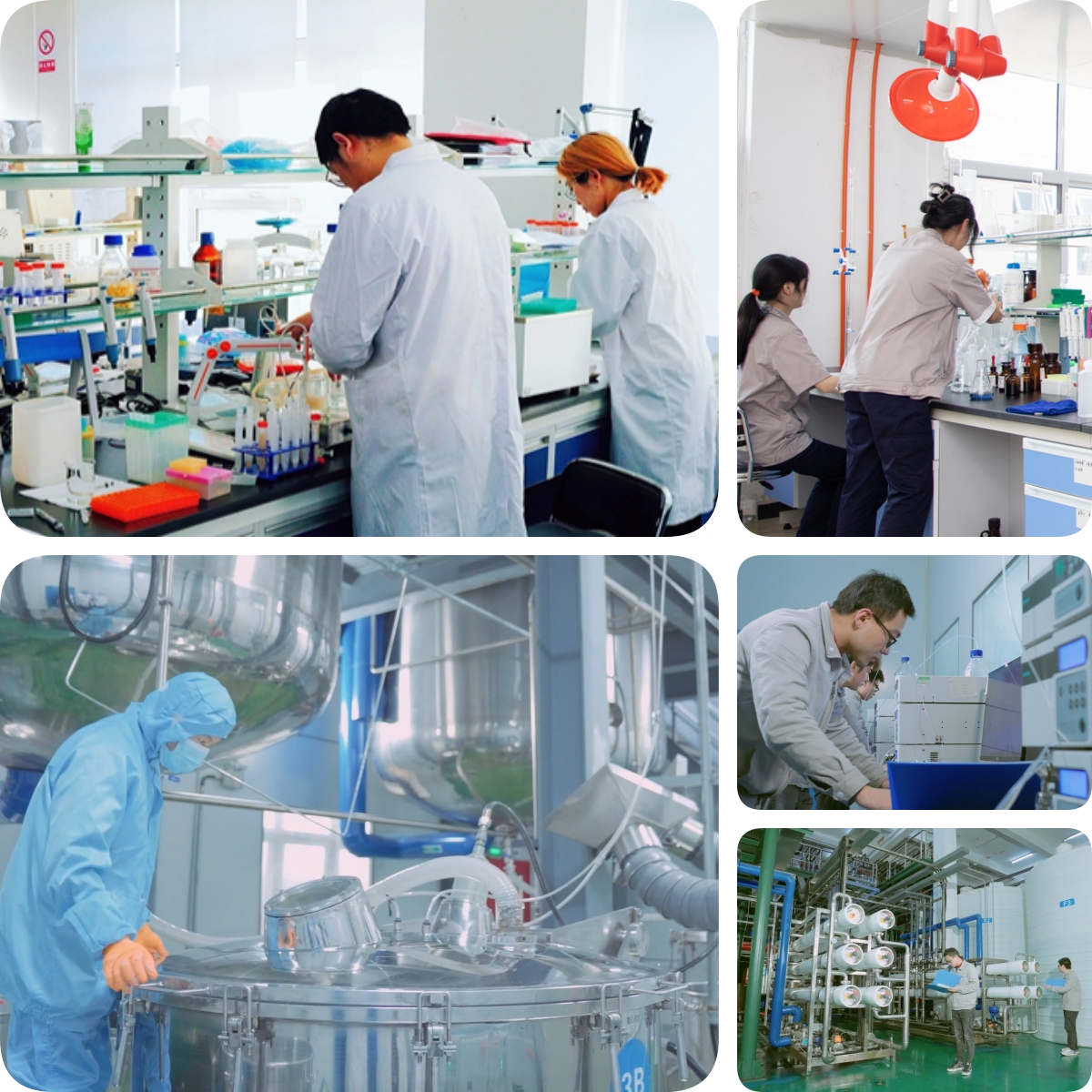 谷胱甘肽是怎么生產的？