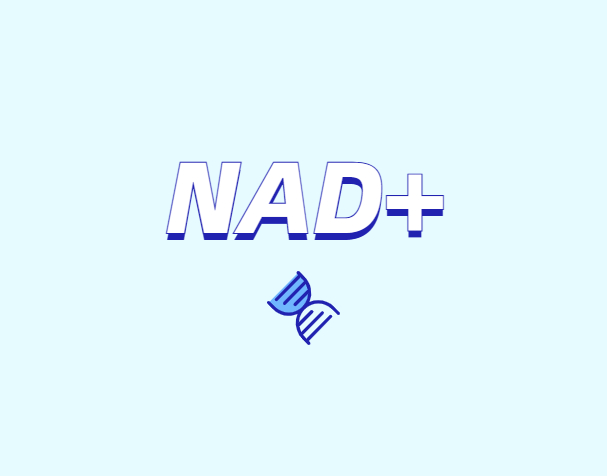 NAD與NMN的全新概念？