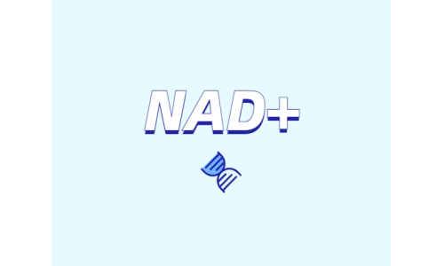 NAD在健康中有什么潛在作用？