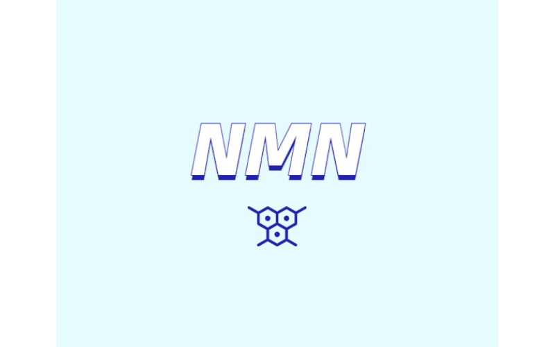 NMN為何是抗衰老研究熱點？
